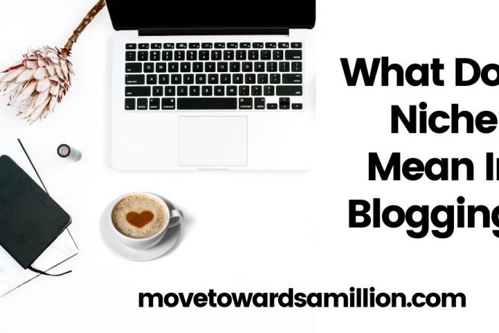 What Does Niche Mean In Blogging Move Towards a Million